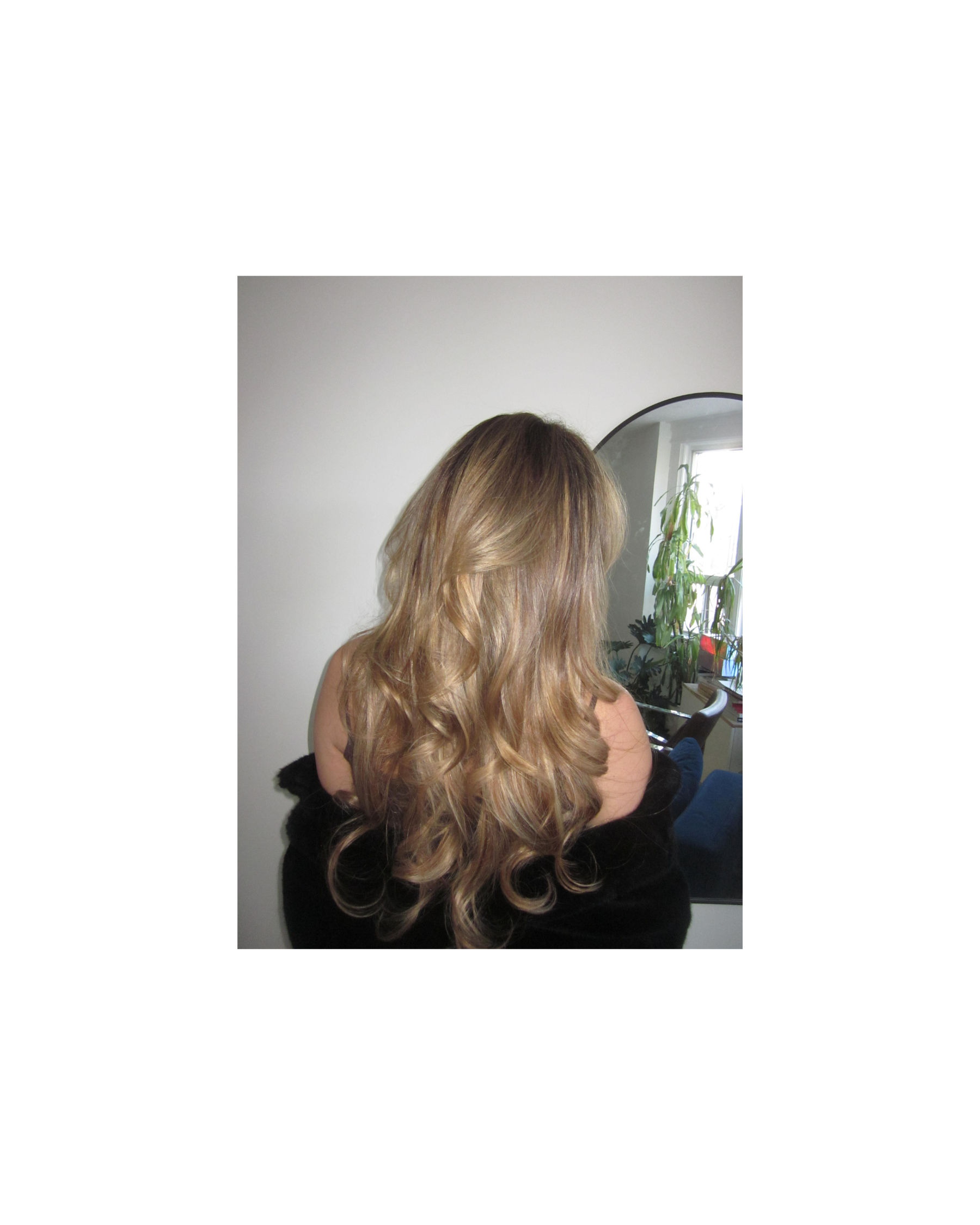 Club Blowdry x The Palm Scalp Analysis